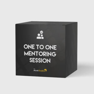 One to One Mentoring Session| The Music Scalers | Music Marketing & Promotion Agency