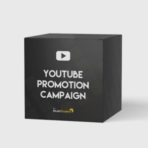 Youtube Promotion Campaign | The Music Scalers | Music Marketing & Promotion Agency